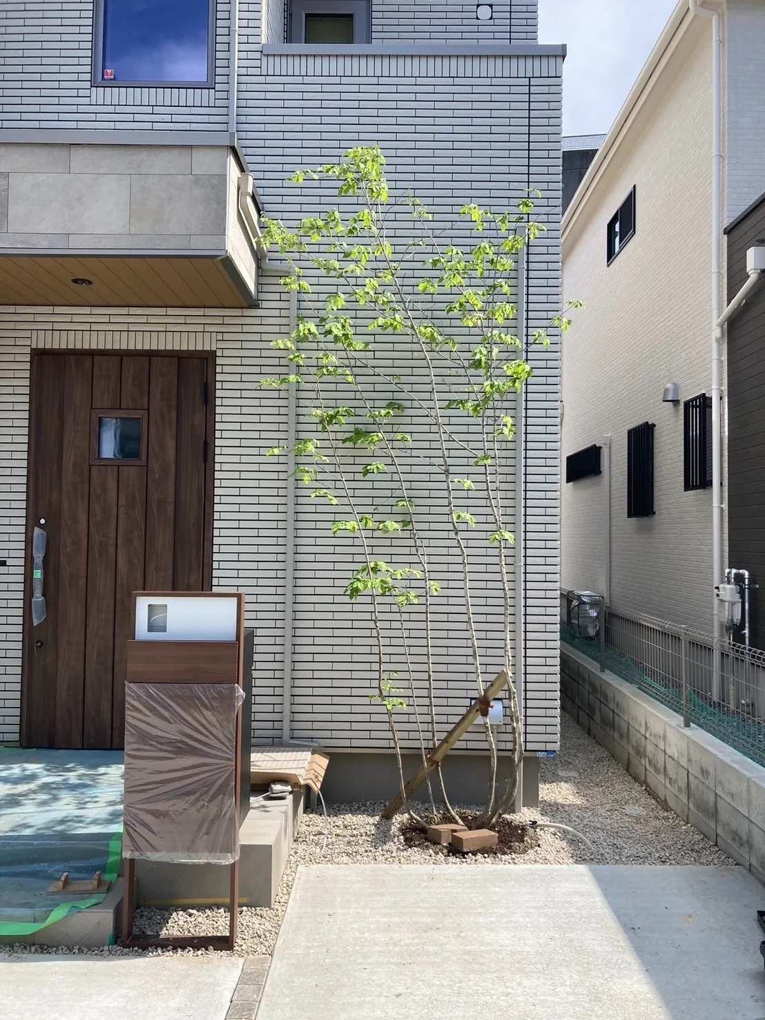 アオダモ株をご購入と植栽工事をして頂きました/K様